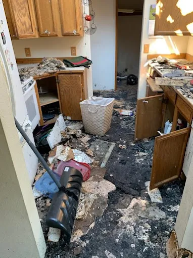 Read more about the article Mold Damage Restoration: What You Need to Know