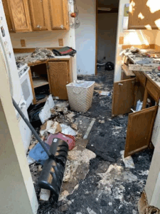 Mold Damage