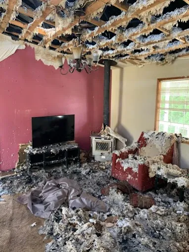 Read more about the article Understanding Mold Damage: What It Means for Your Health and Home