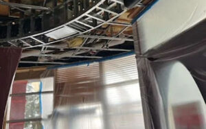 Read more about the article From Infestation to Restoration: How to Win the Battle Against Mold